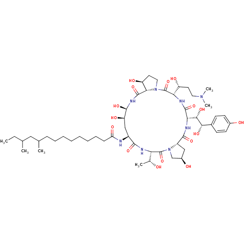 PNG