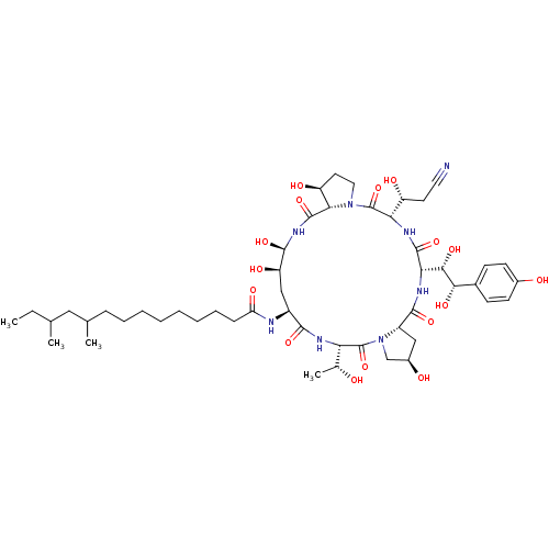 PNG