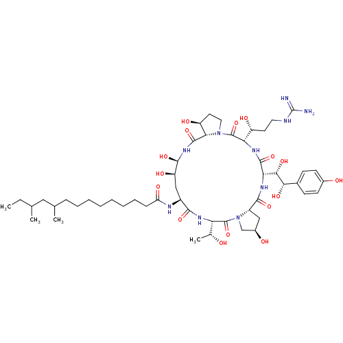 PNG