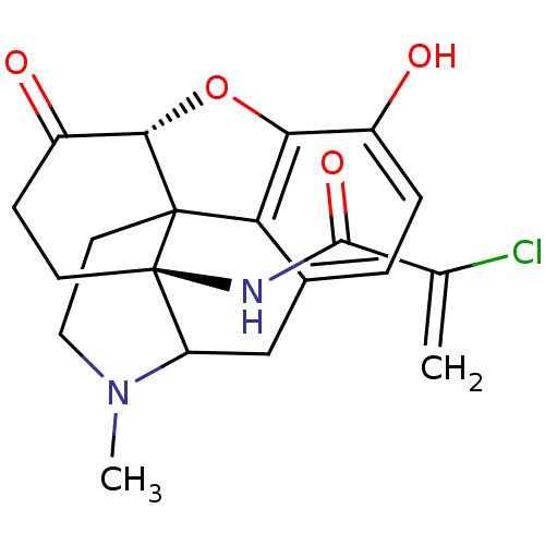 PNG