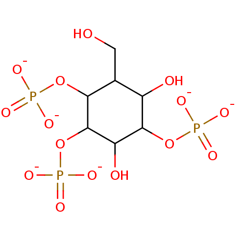 PNG