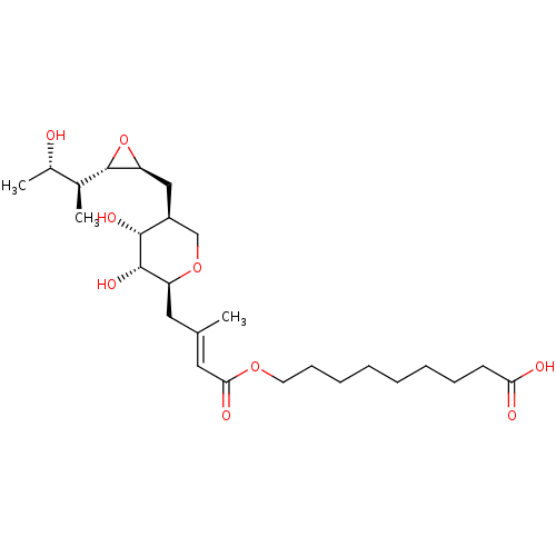 PNG