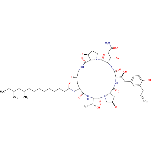 PNG