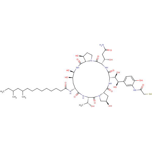 PNG