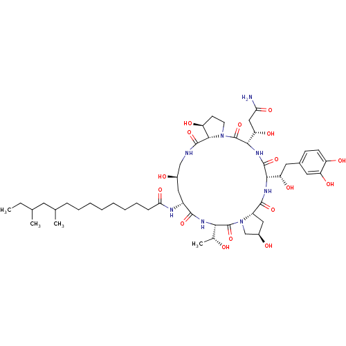 PNG