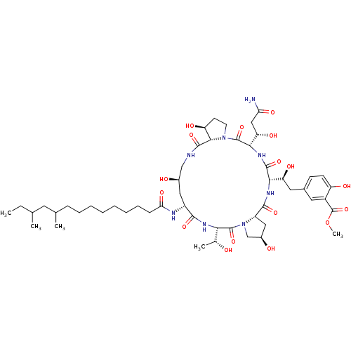 PNG
