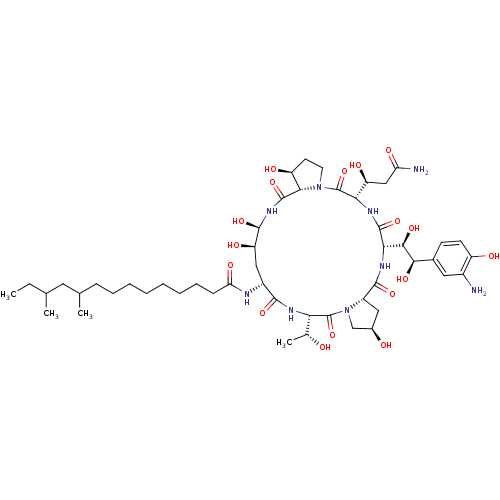 PNG
