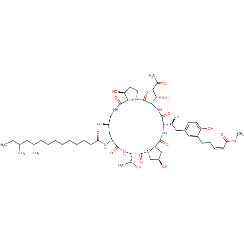 PNG