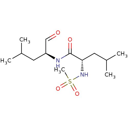 PNG
