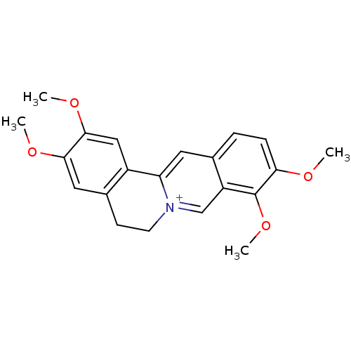 PNG