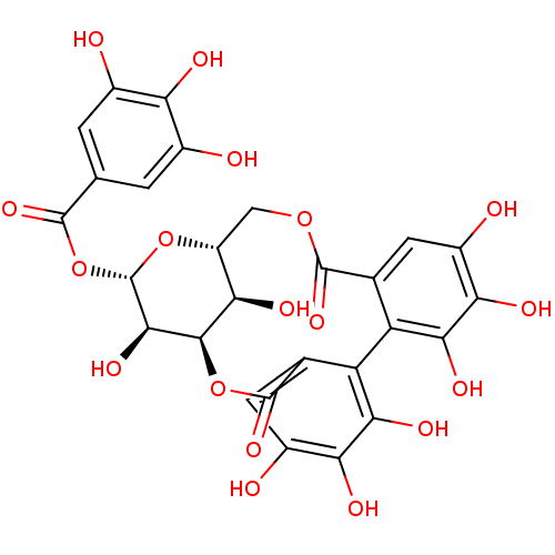 PNG