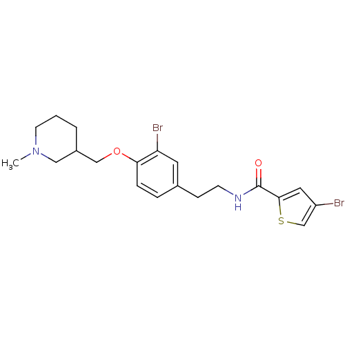 PNG
