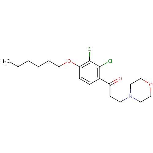 PNG