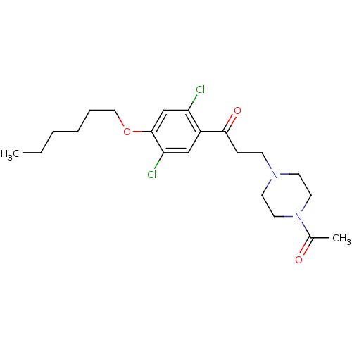 PNG
