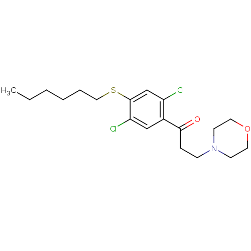 PNG