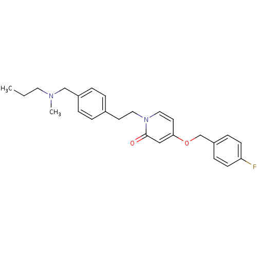 PNG