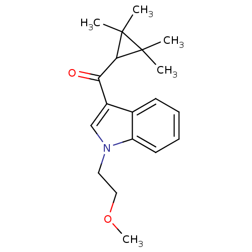 PNG