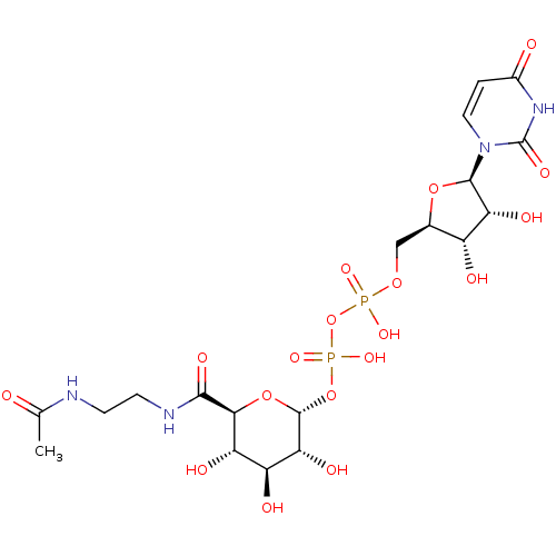 PNG