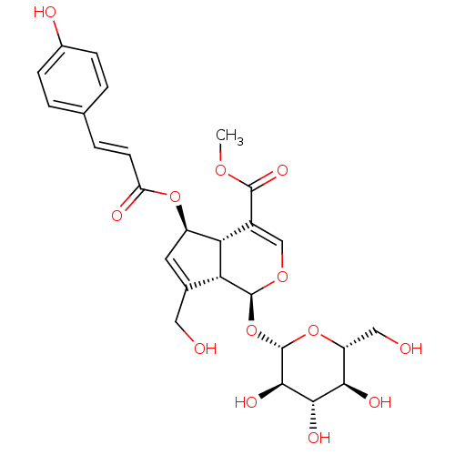 PNG