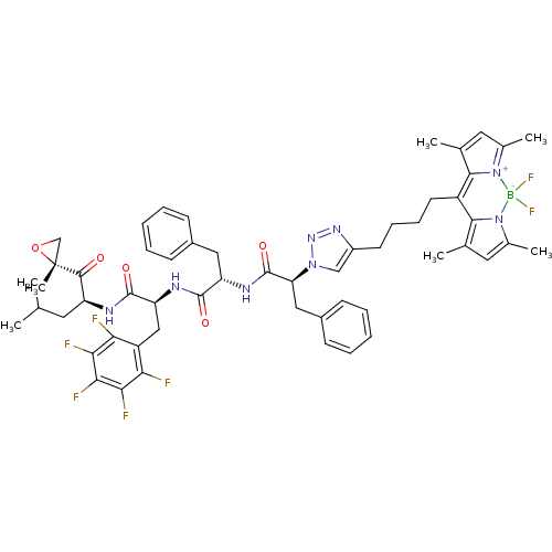 PNG