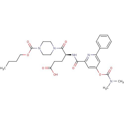 PNG