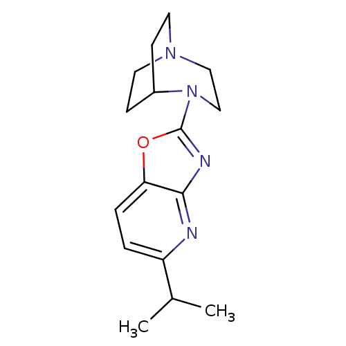 PNG