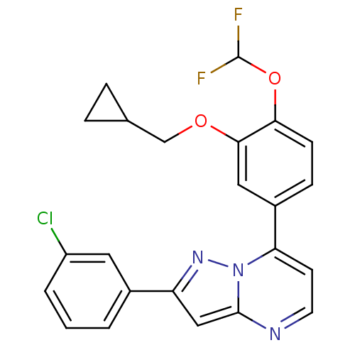 PNG
