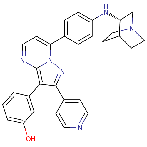 PNG