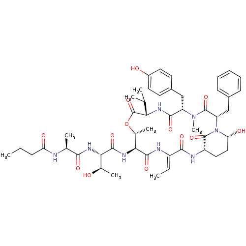 PNG
