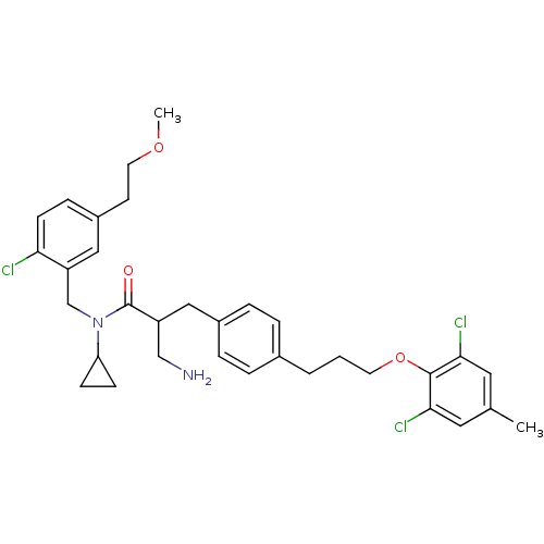 PNG
