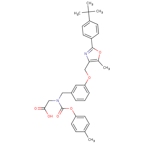 PNG