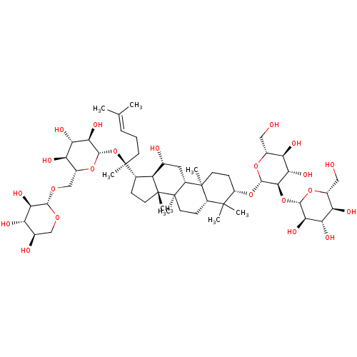 PNG