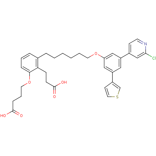 PNG