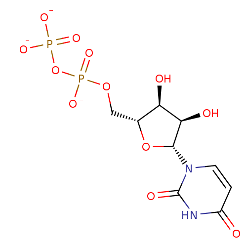 PNG