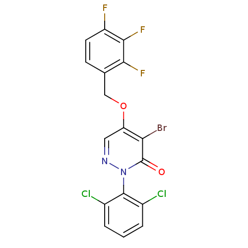 PNG