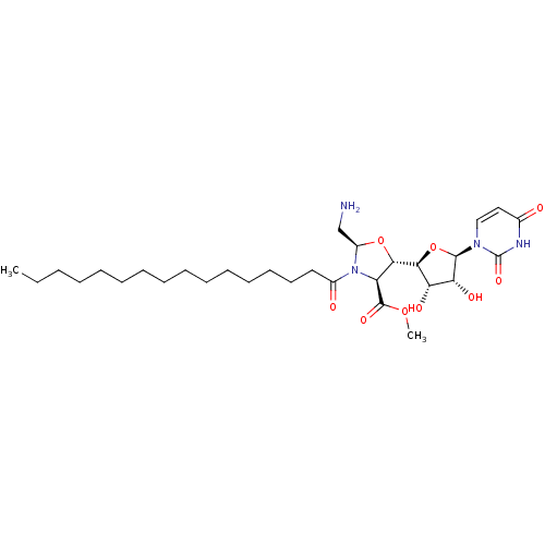 PNG