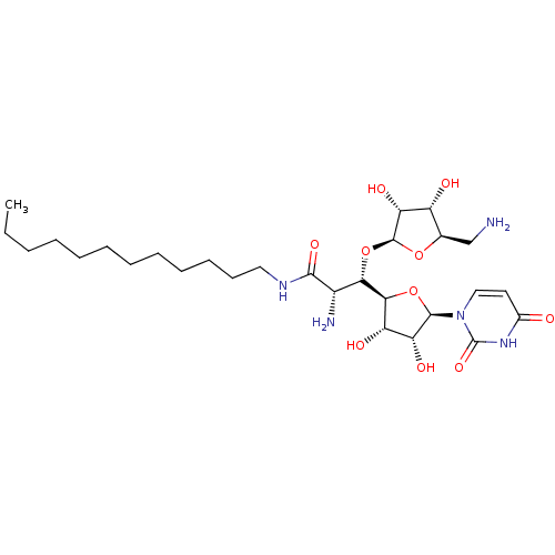 PNG