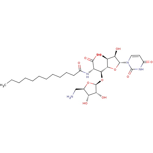 PNG