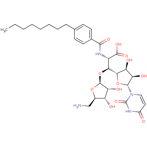 PNG