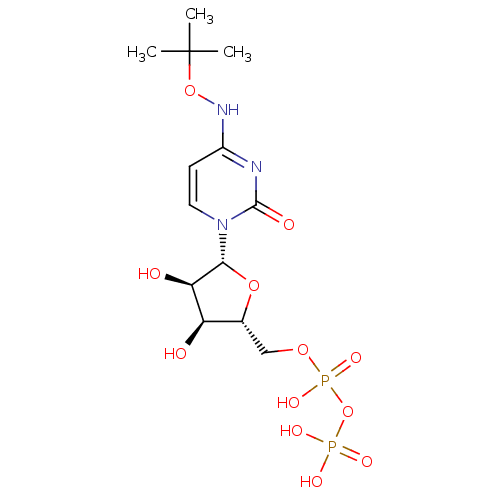 PNG