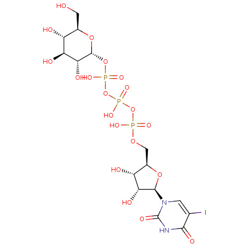 PNG