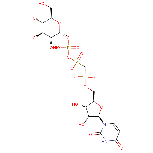 PNG