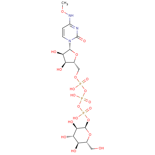 PNG