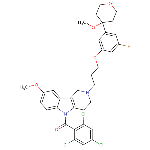 PNG