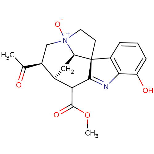 PNG
