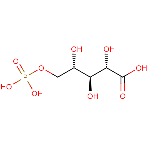 PNG