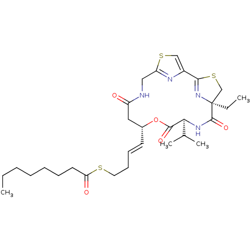 PNG