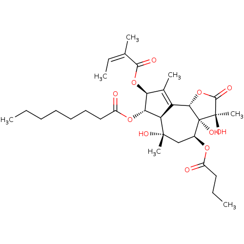 PNG