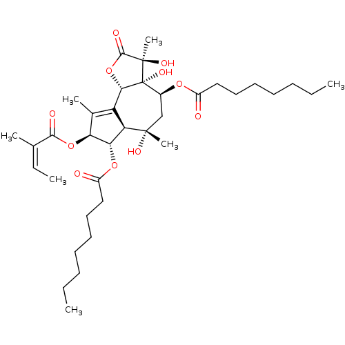 PNG