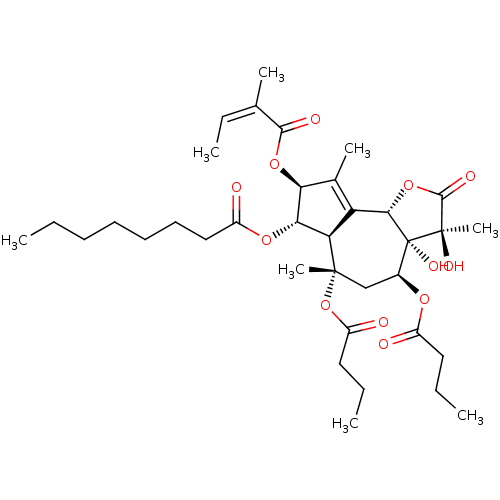PNG